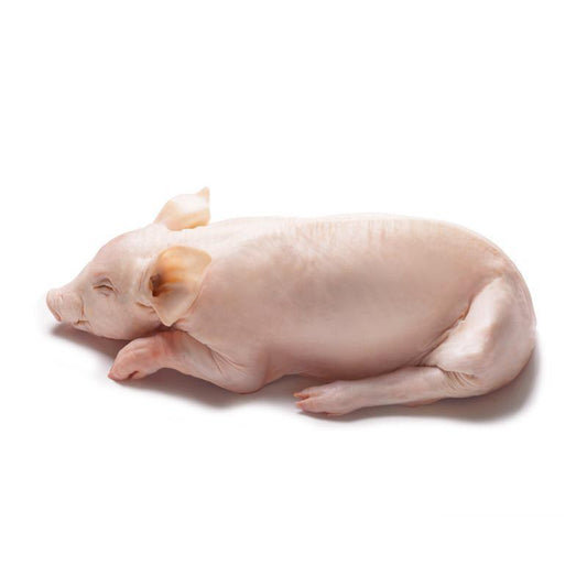 COCHINILLO TIPO SEGOVIANO